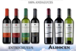 Bodegas Miguel Domecq - Vinos Entrechuelos y Alhocén